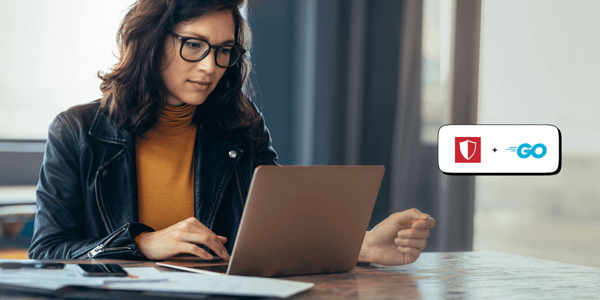 Introducing the FraudLabs Pro Go SDK