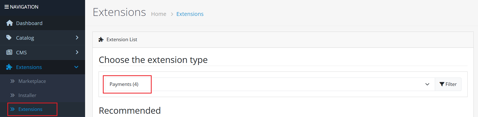 Extension Payment page